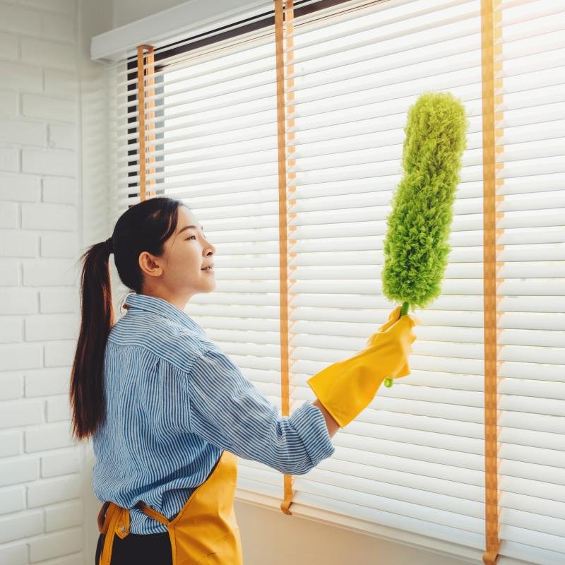 window cleaning